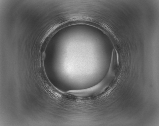 X0000052560877200507081633