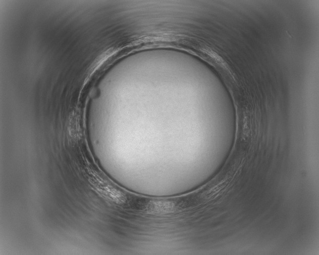 X0000052560878200507081633