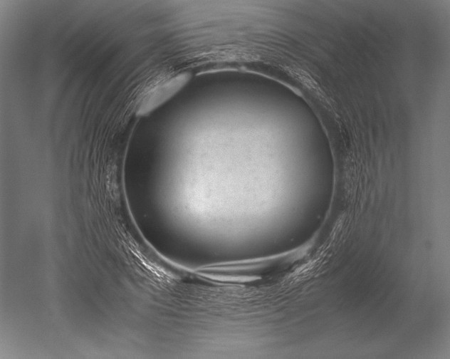 X0000052560881200507081633