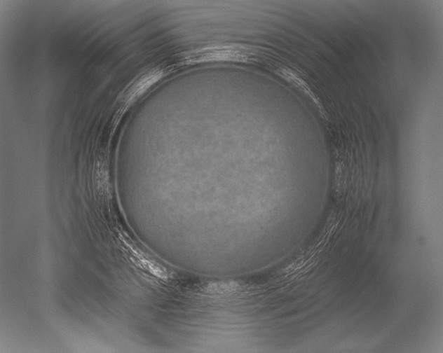 X0000052560882200507081633