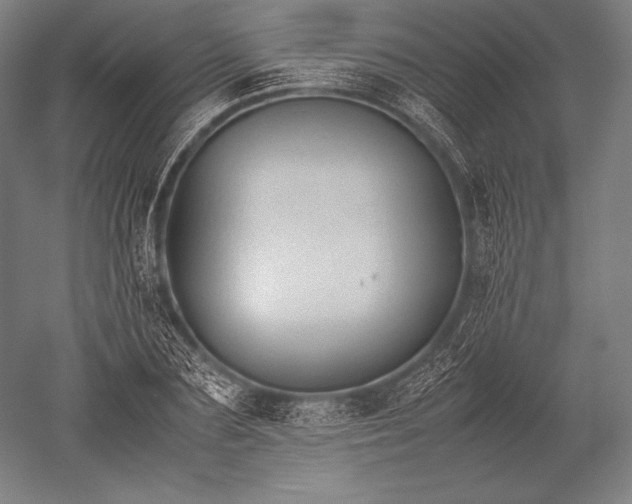 X0000052560883200507081633