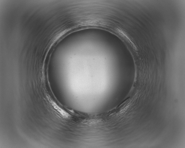 X0000052560884200507081633