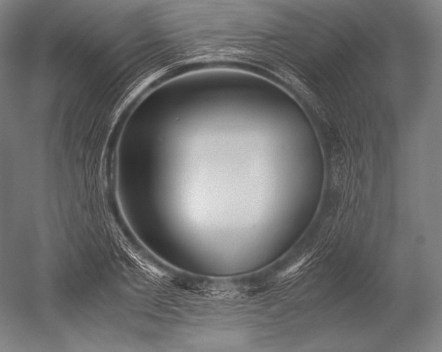X0000052560885200507081633