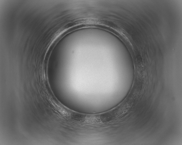 X0000052560887200507081633