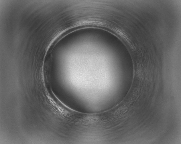 X0000052560888200507081633