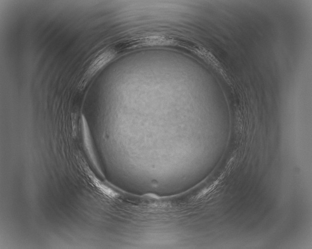 X0000052560889200507081633