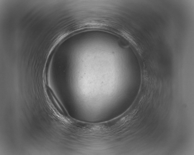 X0000052560891200507081633
