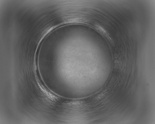 X0000052560892200507081632