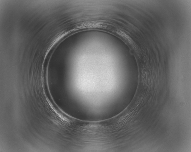 X0000052560894200507081632