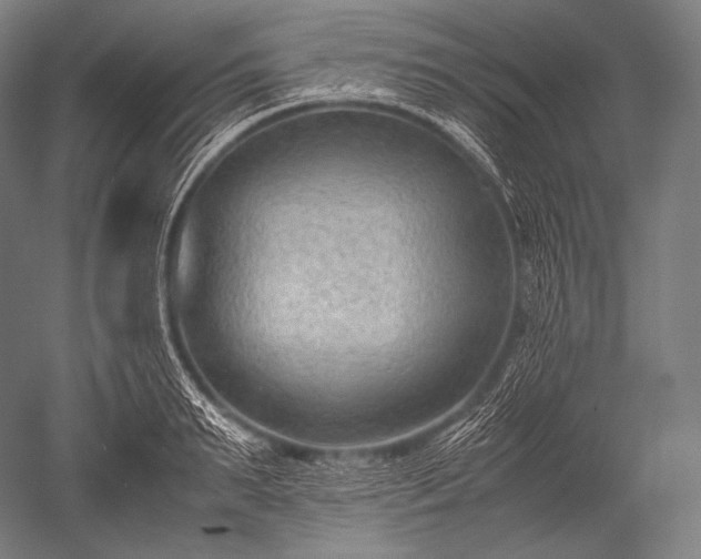 X0000052560895200507081632