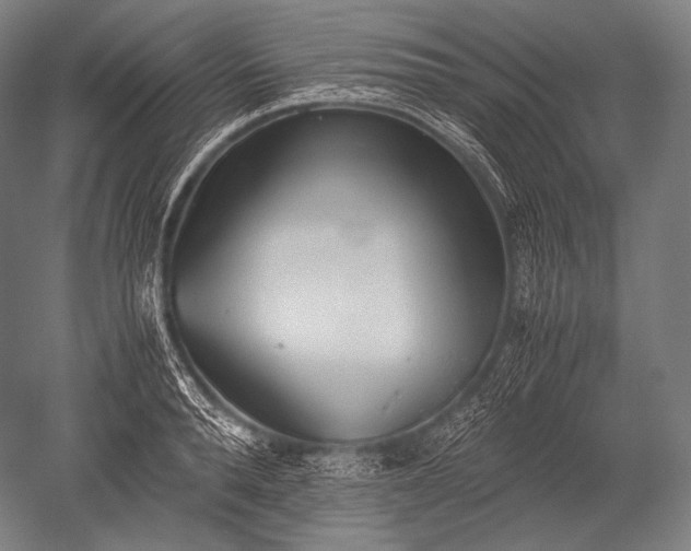X0000052560896200507081632