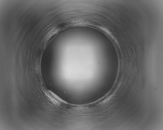 X0000052560897200507081632