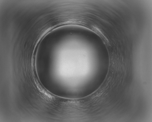 X0000052560900200507081632