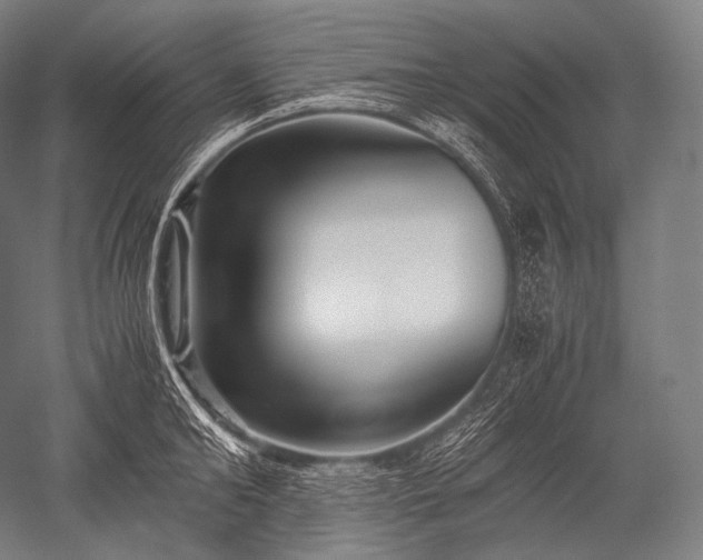 X0000052560902200507081632