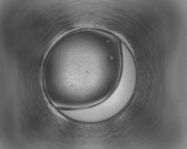 X0000052560903200507081632