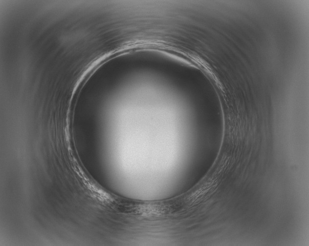 X0000052560904200507081632