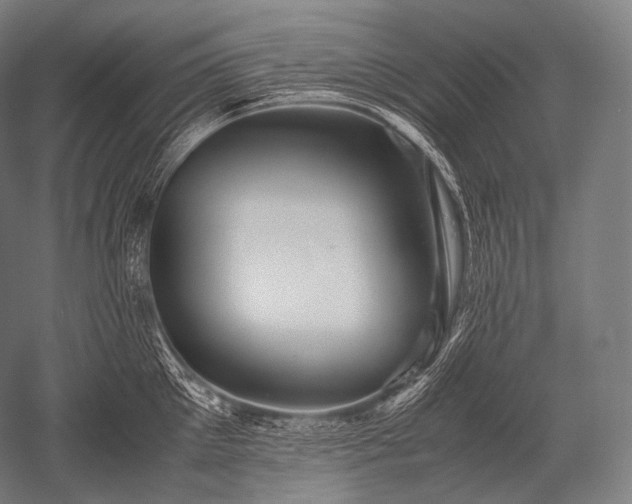 X0000052560905200507081632