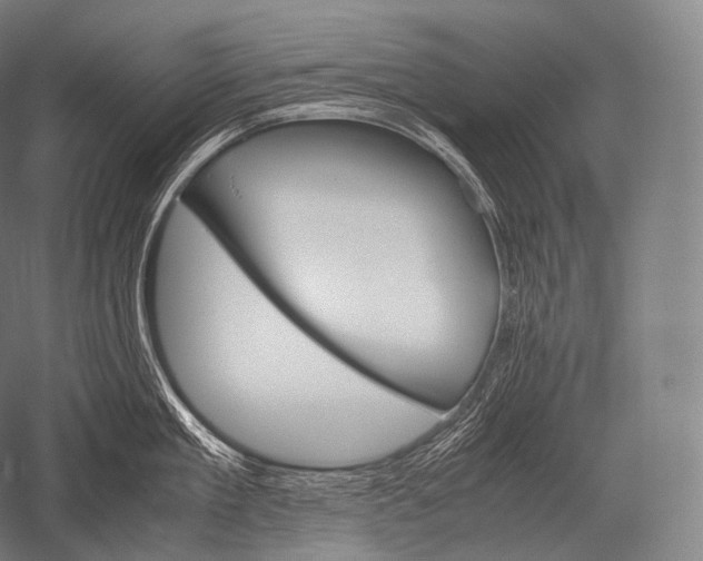 X0000052560909200507081632