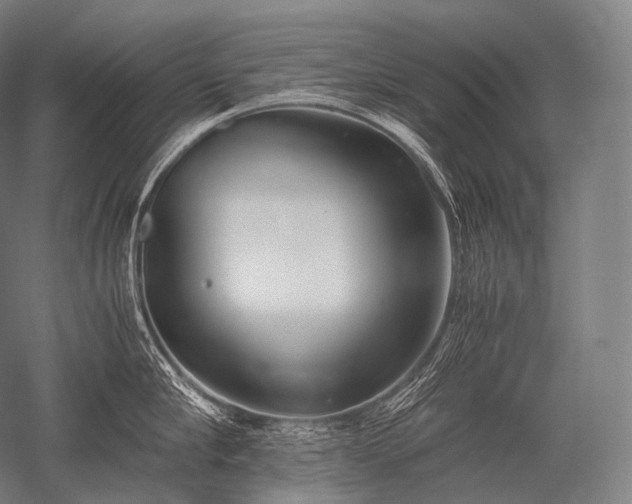 X0000052560910200507081632