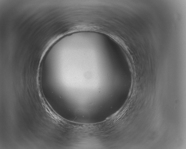 X0000052560912200507081632