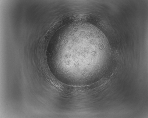 X0000052560913200507081631