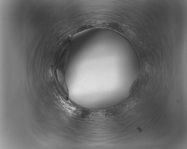 X0000052560914200507081631