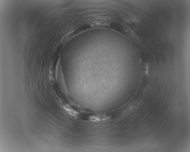 X0000052560915200507081631