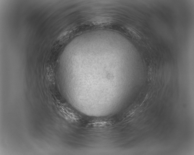 X0000052560917200507081631
