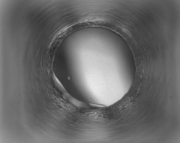 X0000052560920200507081631