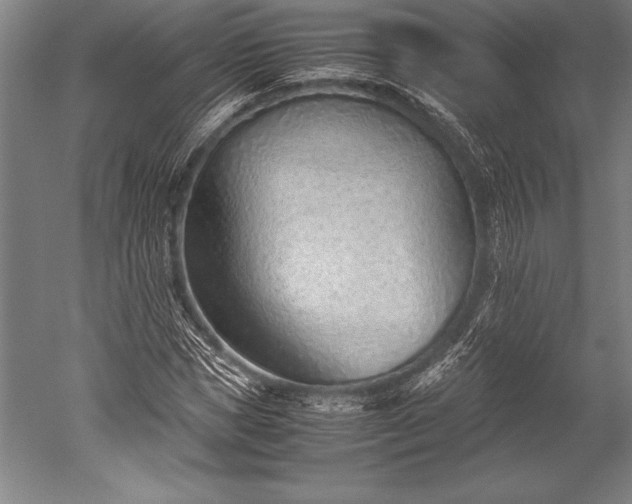 X0000052560921200507081631
