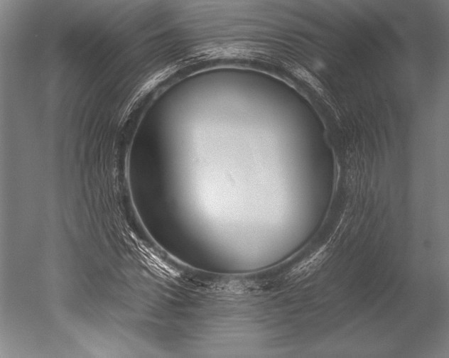 X0000052560922200507081631