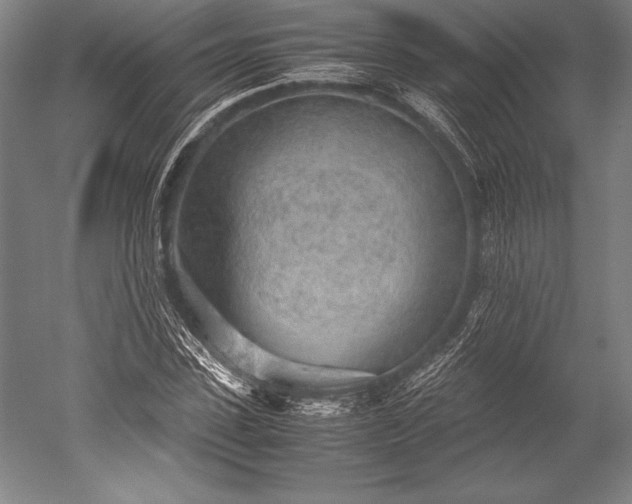X0000052560923200507081632