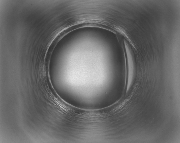 X0000052560924200507081632