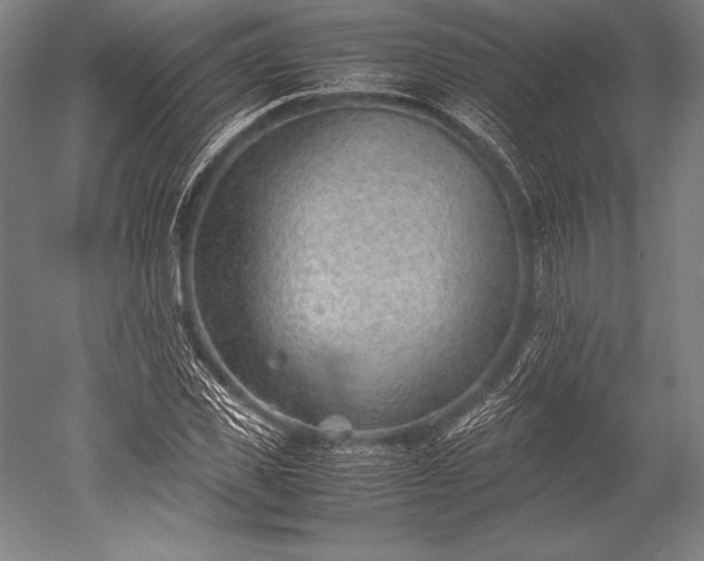 X0000052560925200507081632