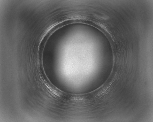 X0000052560927200507081632