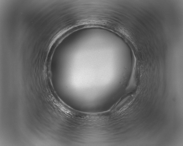 X0000052560928200507081632