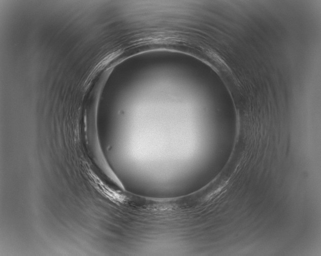 X0000052560930200507081632