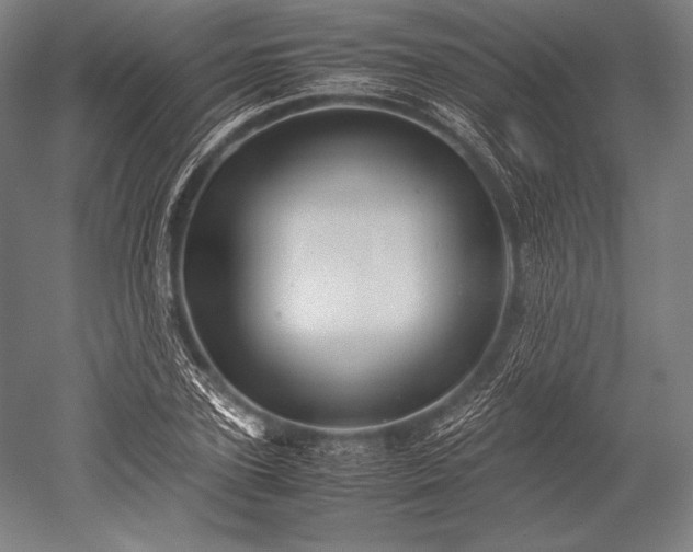 X0000052560931200507081632