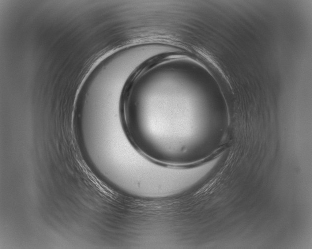 X0000052560932200507081632