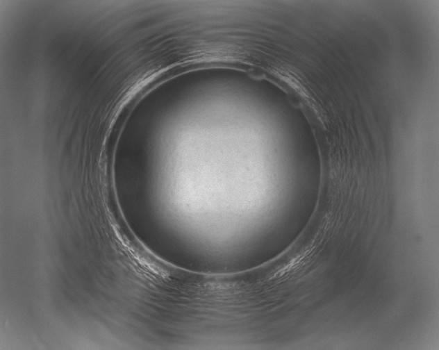 X0000052560933200507081632