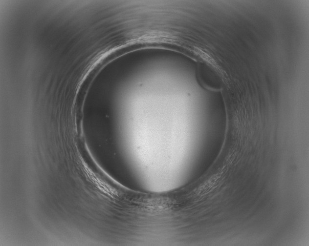 X0000052560934200507081632