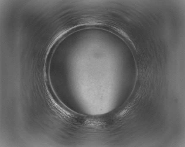 X0000052560935200507081632