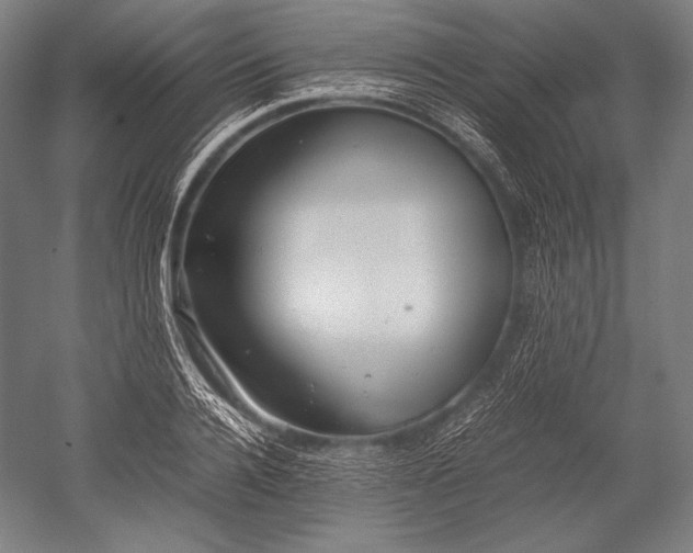 X0000052560936200507081632