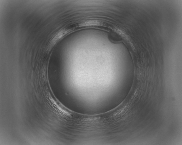 X0000052560937200507081632