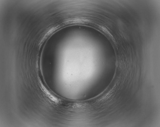 X0000052560938200507081632