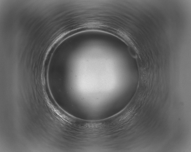 X0000052560939200507081632