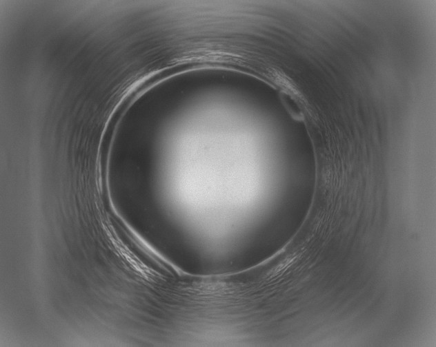 X0000052560940200507081632