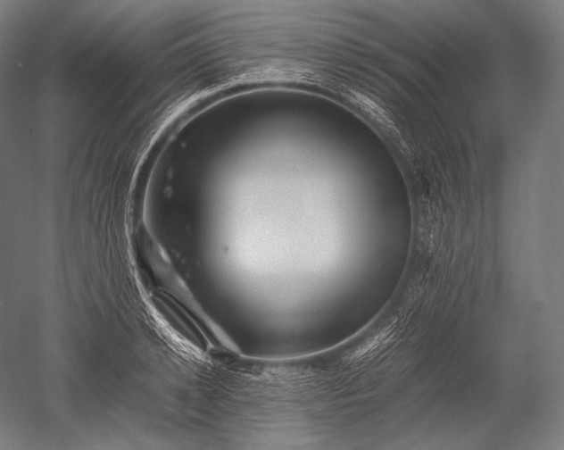 X0000052560942200507081632