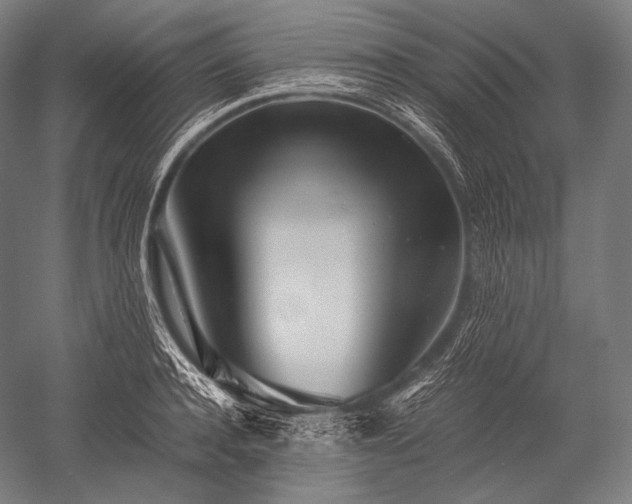 X0000052560944200507081632