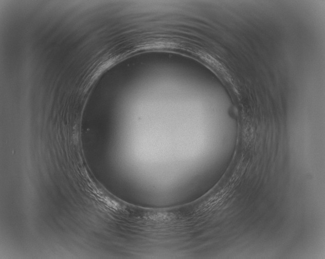X0000052560945200507081632
